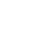BP - STM